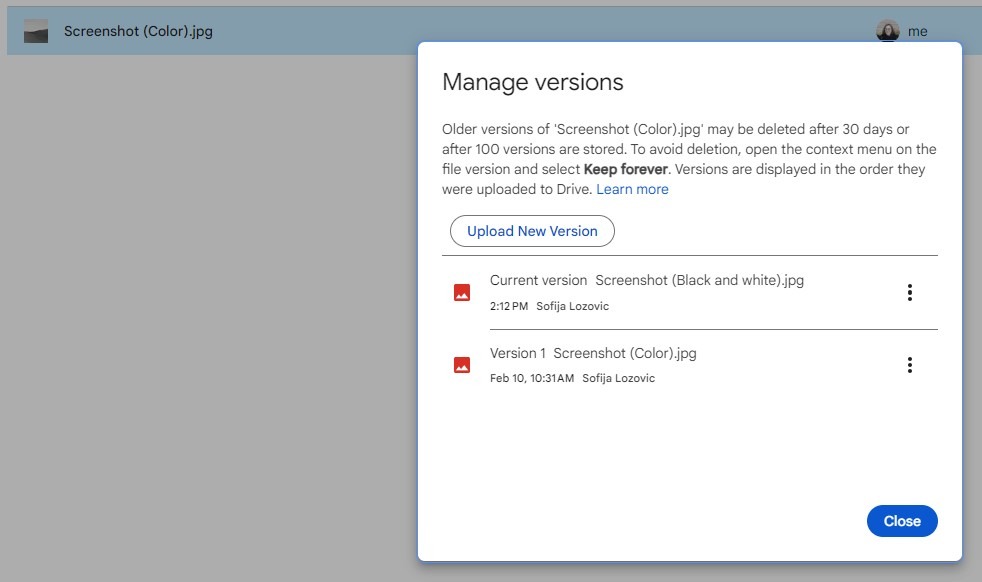 Screenshot of the window for managing file versions open, with a new file version listed