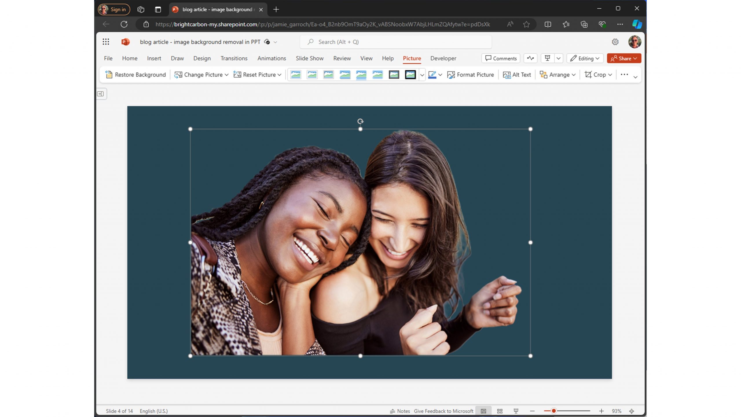 screenshot showing an image with the background removed in PowerPoint online