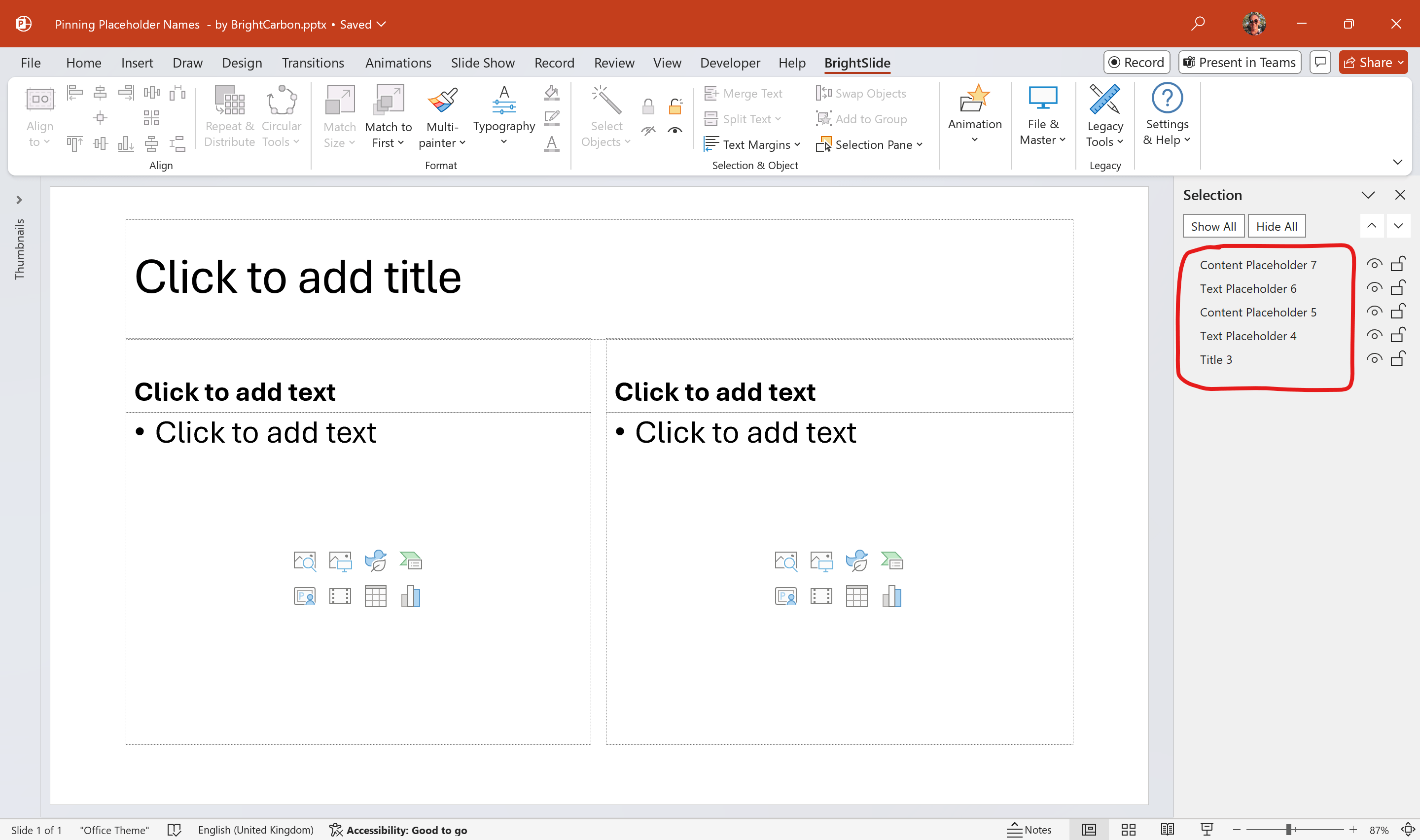 screenshot of PowerPoint slide showing placeholder names in the selection pane